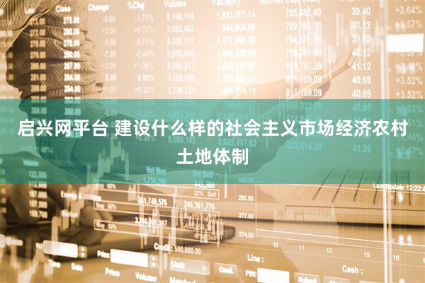启兴网平台 建设什么样的社会主义市场经济农村土地体制