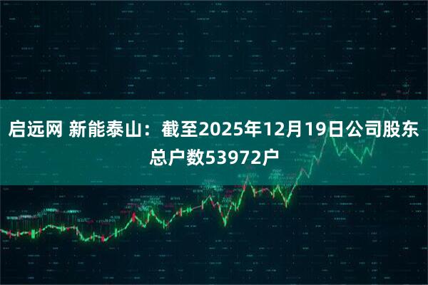 启远网 新能泰山：截至2025年12月19日公司股东总户数53972户