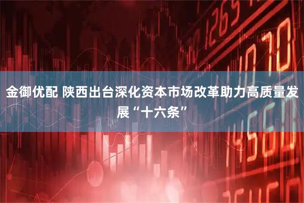 金御优配 陕西出台深化资本市场改革助力高质量发展“十六条”