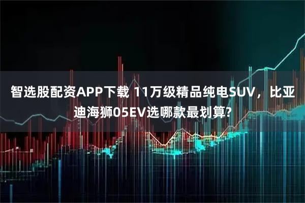 智选股配资APP下载 11万级精品纯电SUV，比亚迪海狮05EV选哪款最划算?