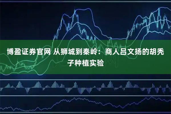 博盈证券官网 从狮城到秦岭：商人吕文扬的胡秃子种植实验