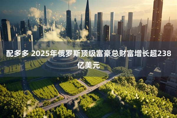 配多多 2025年俄罗斯顶级富豪总财富增长超238亿美元