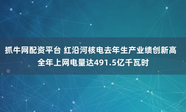 抓牛网配资平台 红沿河核电去年生产业绩创新高  全年上网电量达491.5亿千瓦时