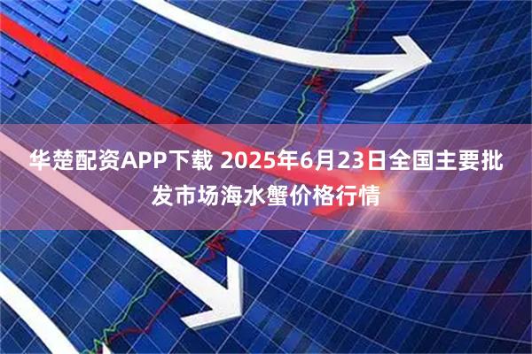 华楚配资APP下载 2025年6月23日全国主要批发市场海水蟹价格行情