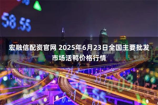宏融信配资官网 2025年6月23日全国主要批发市场活鸭价格行情