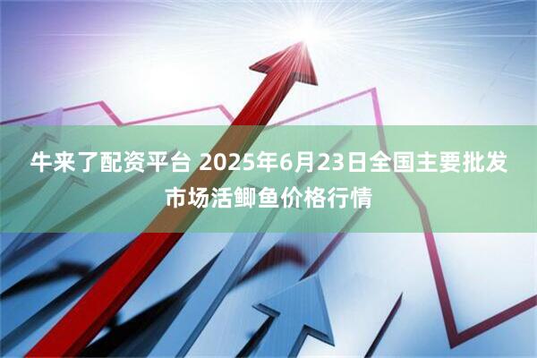 牛来了配资平台 2025年6月23日全国主要批发市场活鲫鱼价格行情