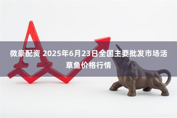 微豪配资 2025年6月23日全国主要批发市场活草鱼价格行情