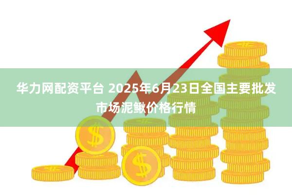 华力网配资平台 2025年6月23日全国主要批发市场泥鳅价格行情