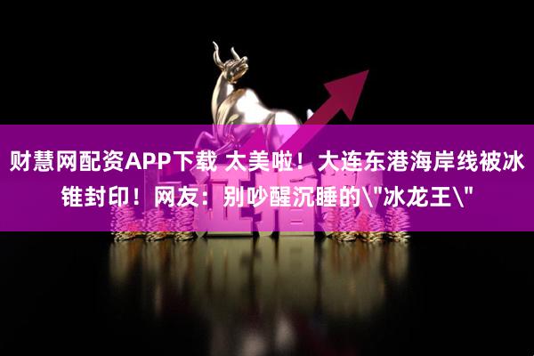 财慧网配资APP下载 太美啦！大连东港海岸线被冰锥封印！网友：别吵醒沉睡的＂冰龙王＂