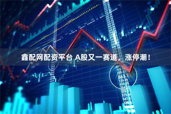 鑫配网配资平台 A股又一赛道，涨停潮！