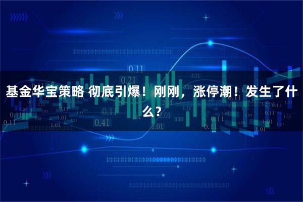 基金华宝策略 彻底引爆！刚刚，涨停潮！发生了什么？