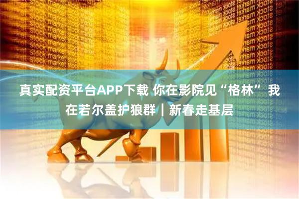 真实配资平台APP下载 你在影院见“格林” 我在若尔盖护狼群｜新春走基层