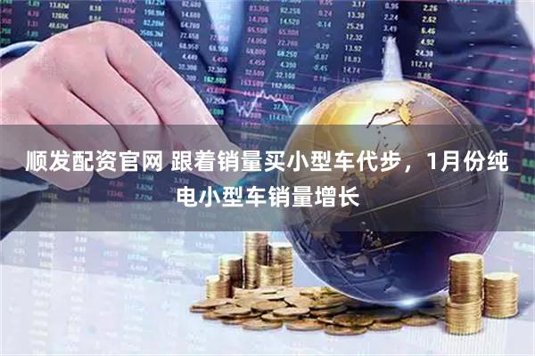 顺发配资官网 跟着销量买小型车代步，1月份纯电小型车销量增长